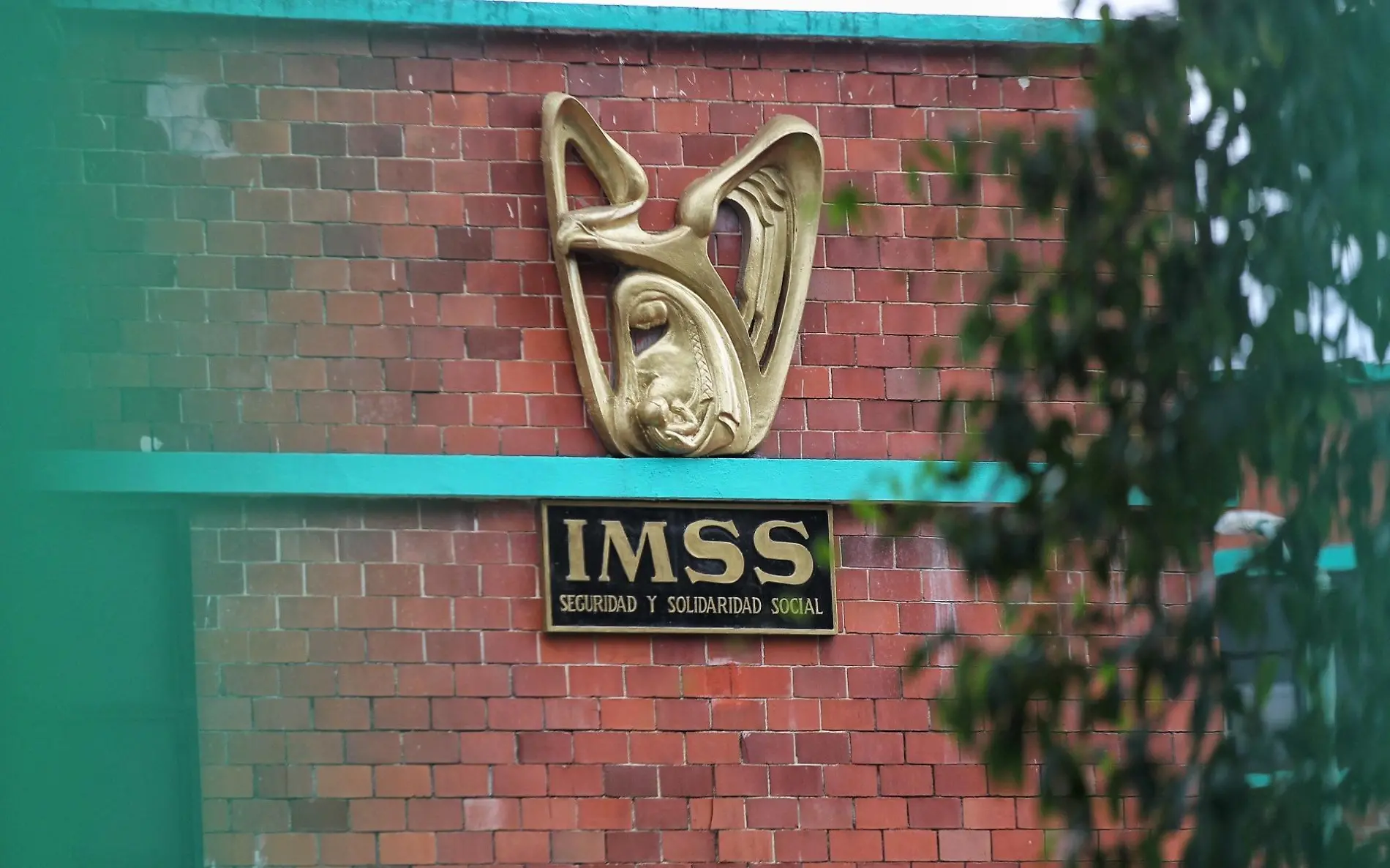 IMSS-Salud-xalapa-1dic-ricardo3 (1)